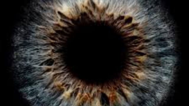 MY FM 本周热爆劲碟 – 林宥嘉<Apples Of Thy Eye>